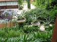 Thumbs/tn_Dsc03177.jpg