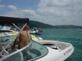 Thumbs/tn_Dsc01545.jpg